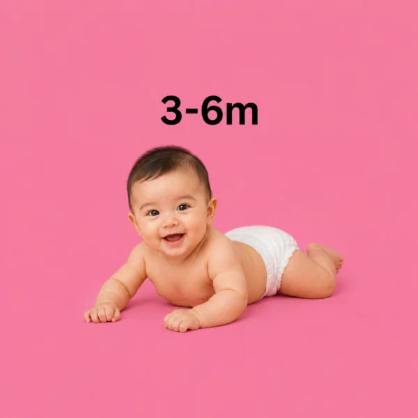 3 - 6 M